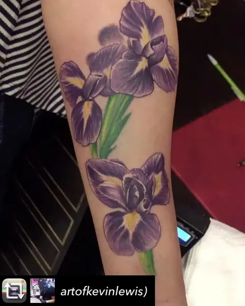 Flower, 백합, 국화, 난초, 튤립, 수선화, 아이리스, 꽃다발