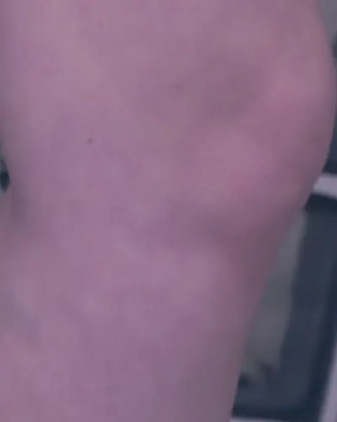 랍스터