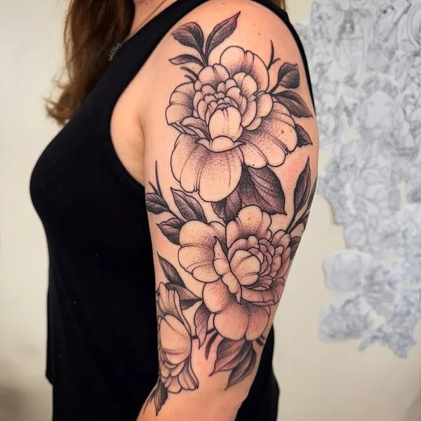 Flower, Rose, Nature