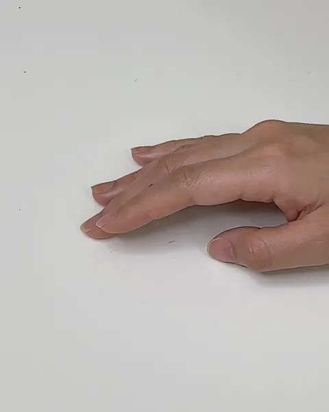 dareumtattoo