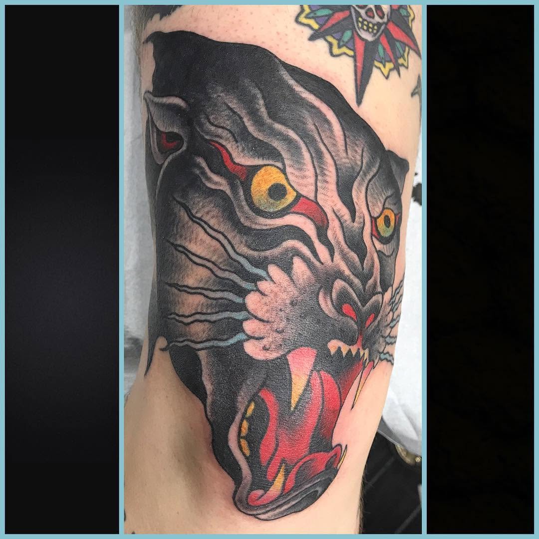 Tiger, Animal