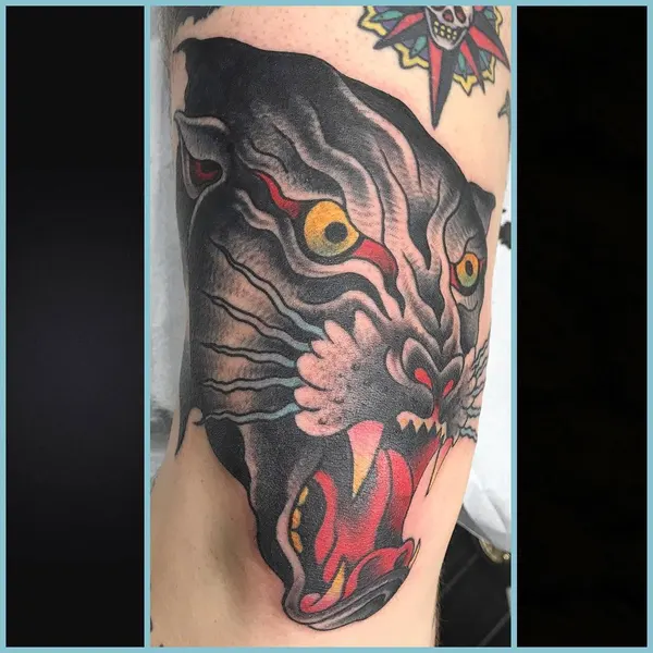 Tiger, Animal