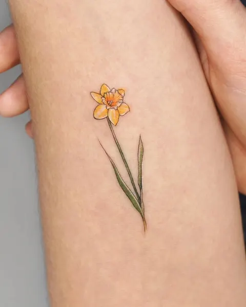 Flower, 풀, 수선화, 카네이션, 백합, 튤립, 야생화, 아이리스