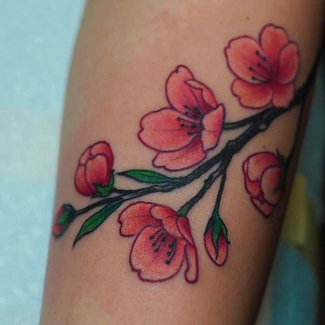 매화, Flower, 목련, 벚꽃