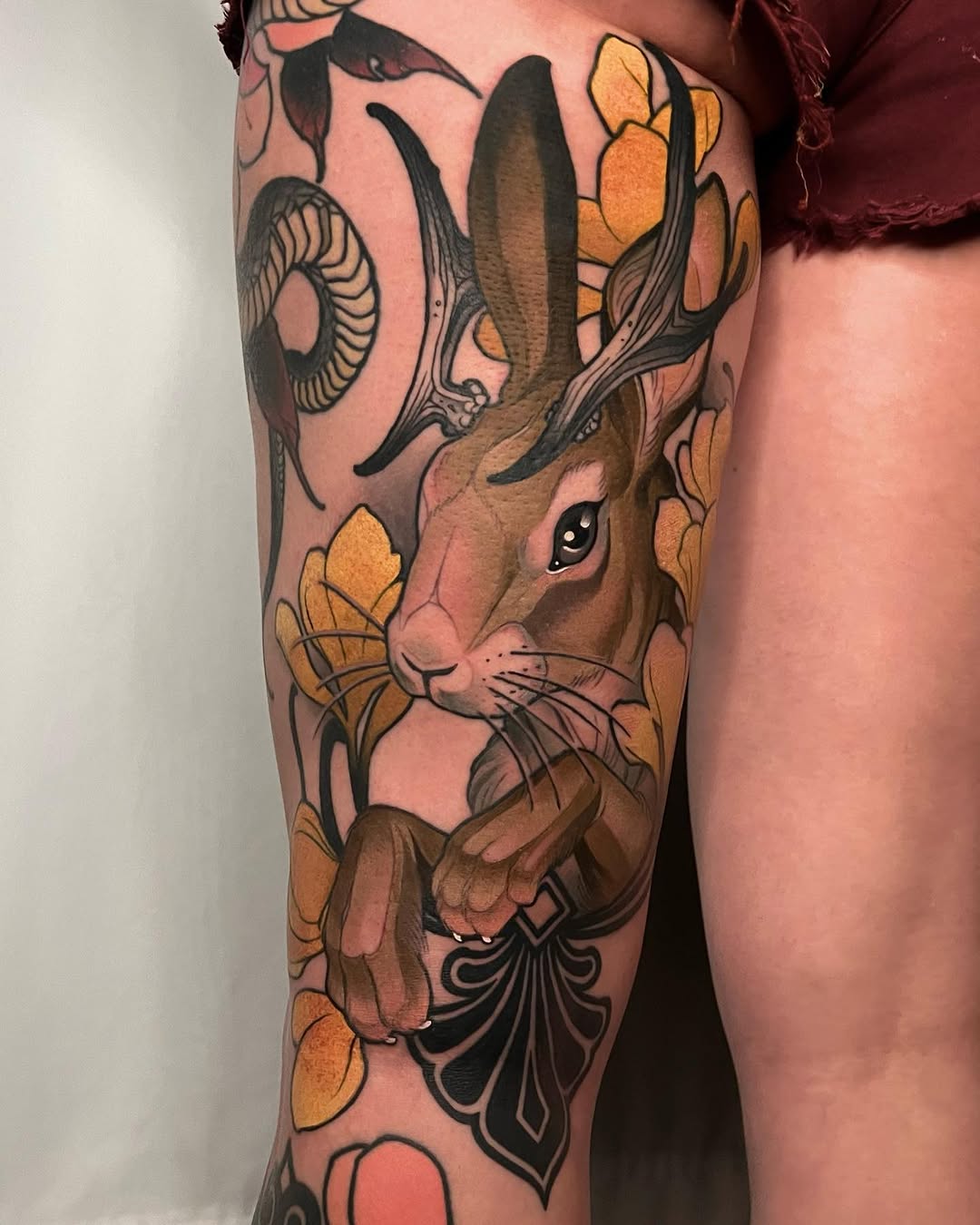 Animal, 사슴