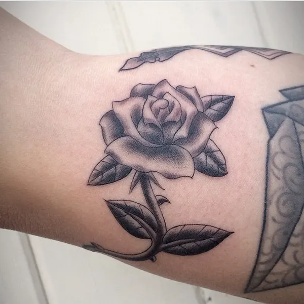 Flower, Rose