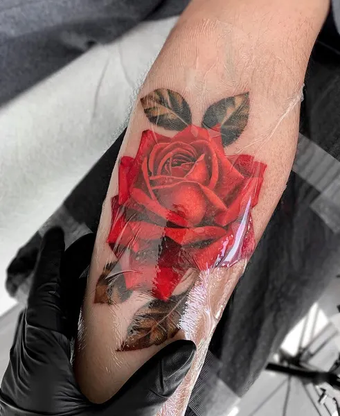 Rose, Flower
