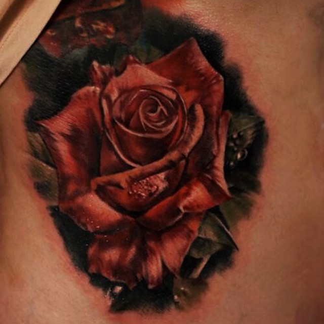 Flower, Rose, Nature