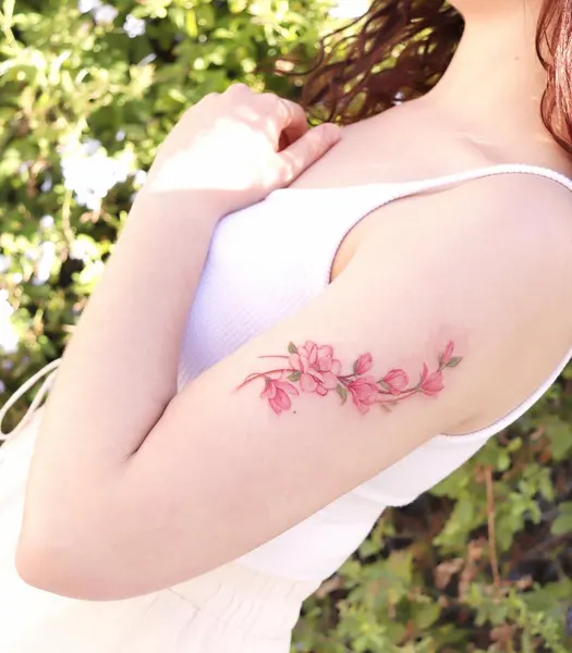 Flower, Rose, 백합