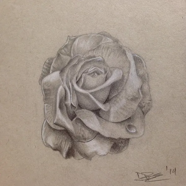 Flower, Rose