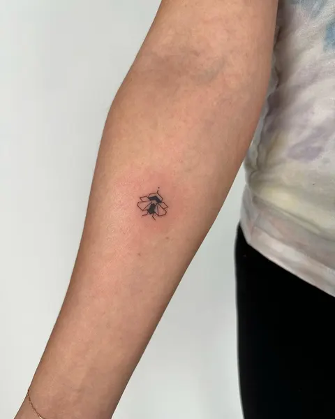 점, Lettering, 개미, 게자리, 지네, 블라스트오버