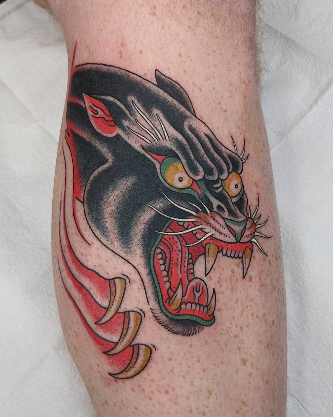 Animal, Tiger