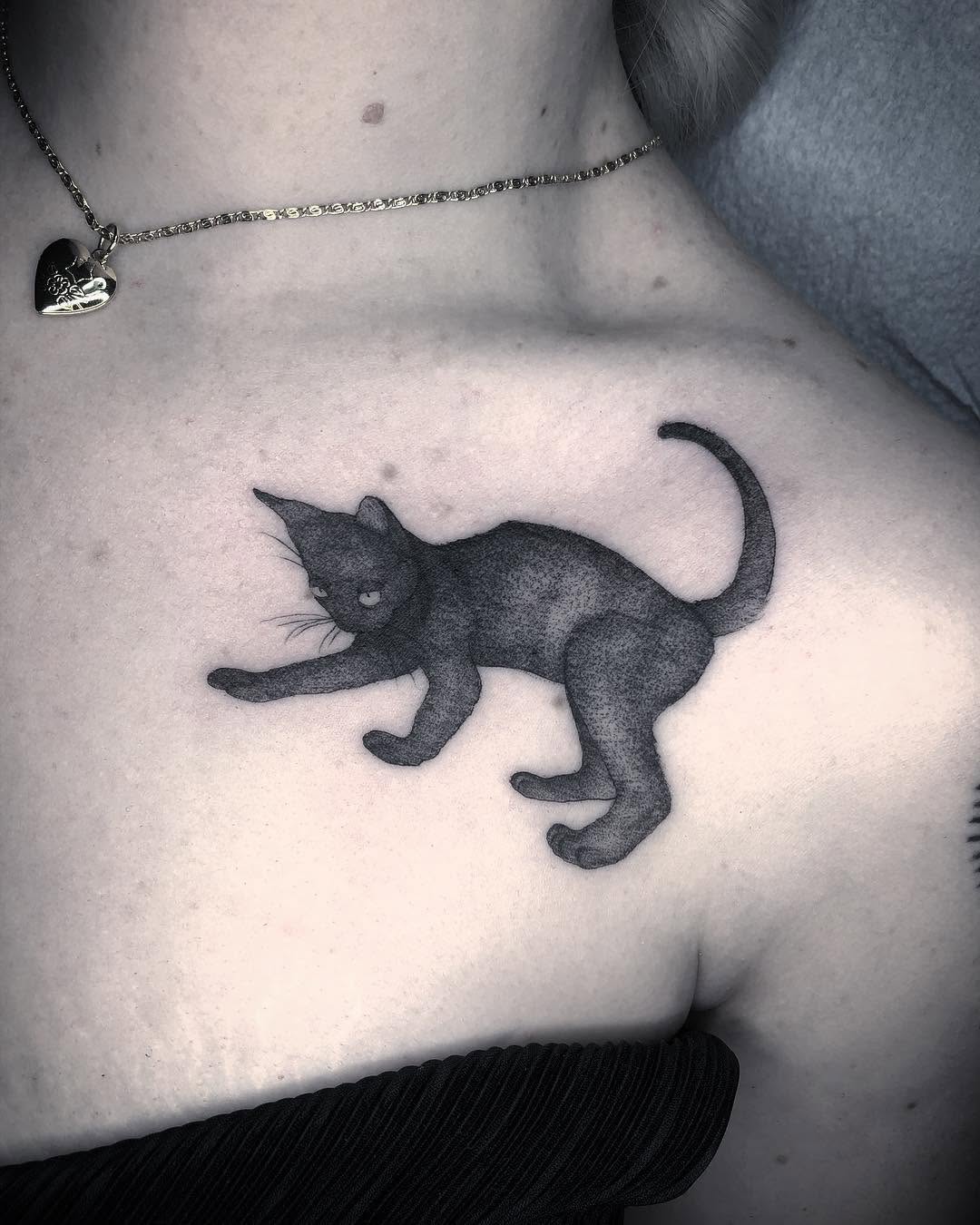 Animal