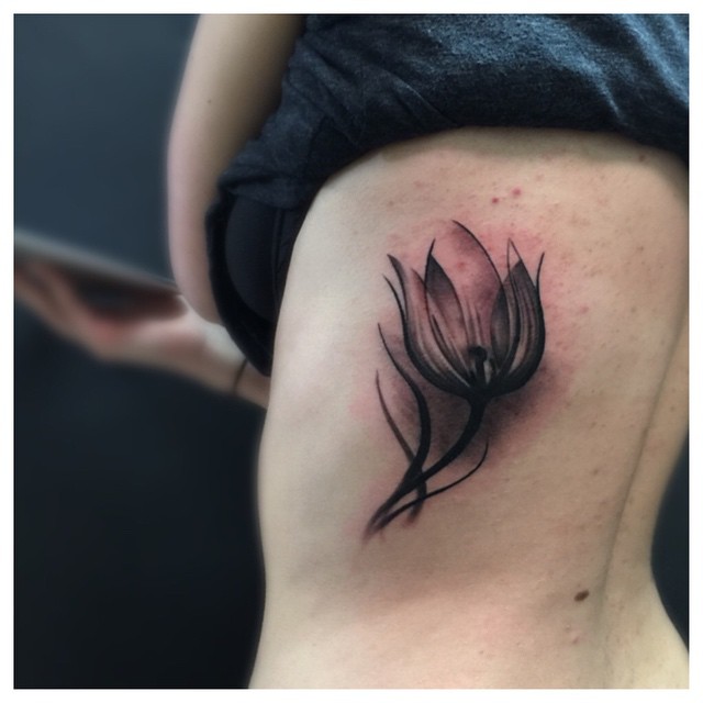 Flower, Rose, 연꽃, 튤립, 백합