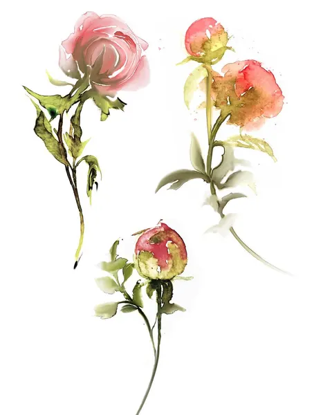 Flower, Rose