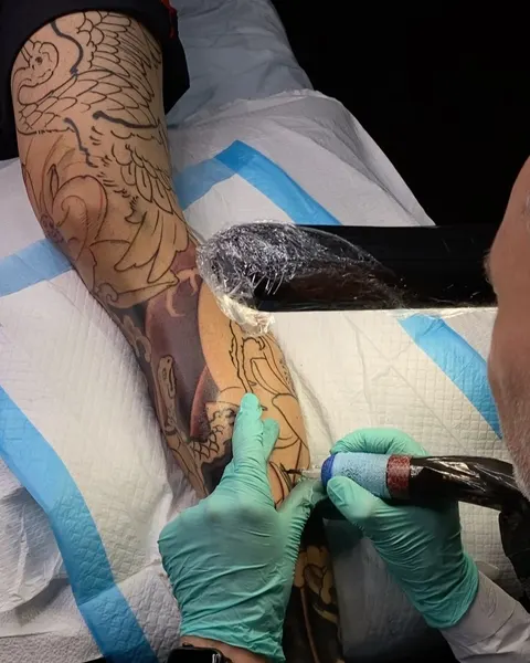 Dragon, Animal