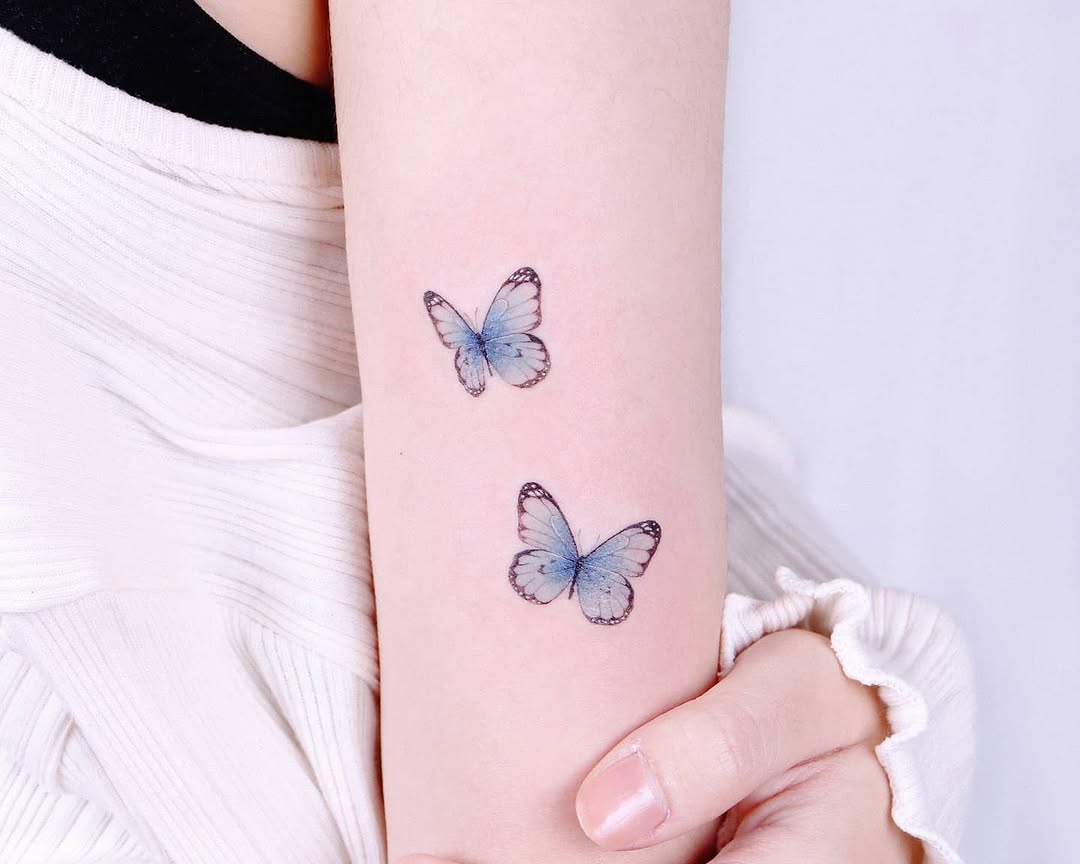 Animal, Nature, 나비