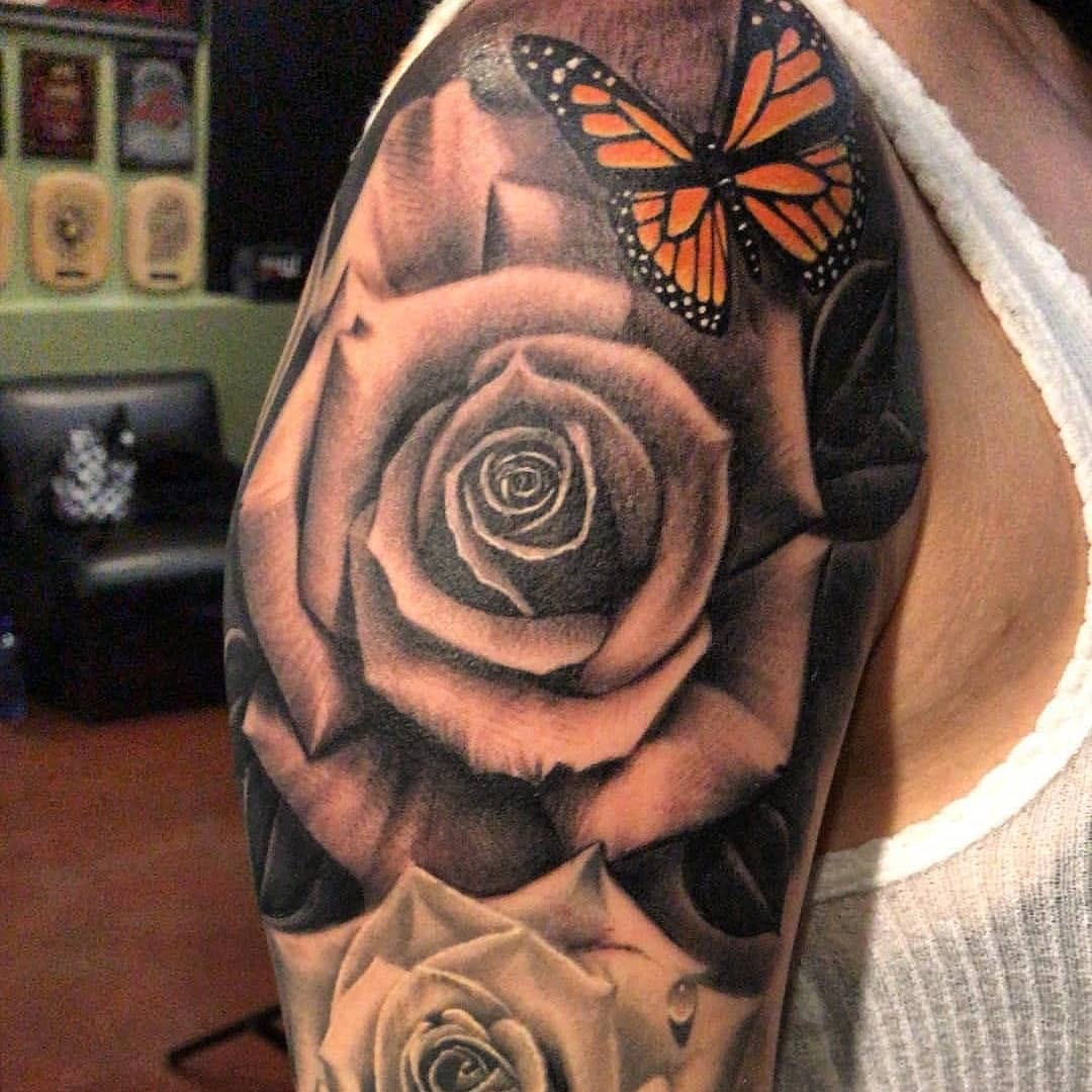 Flower, Nature, Animal