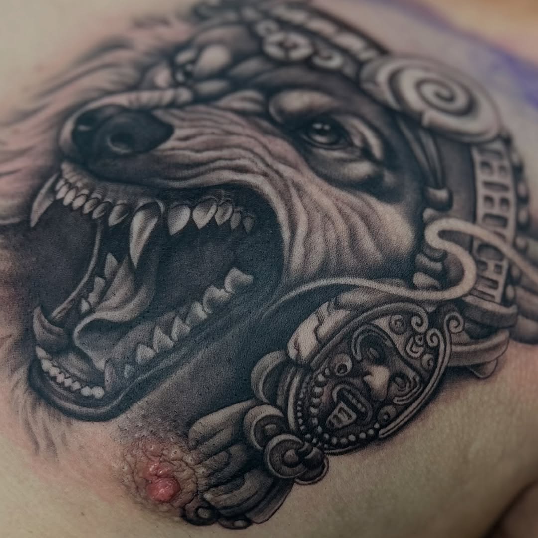 Tiger, Animal