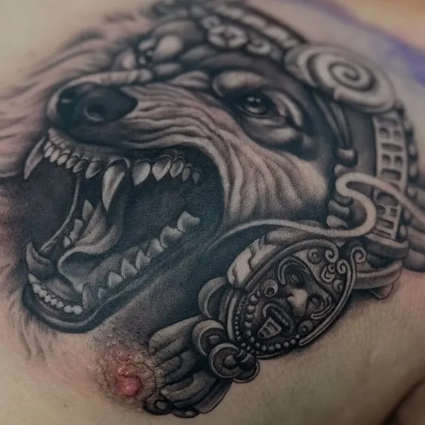 Tiger, Animal