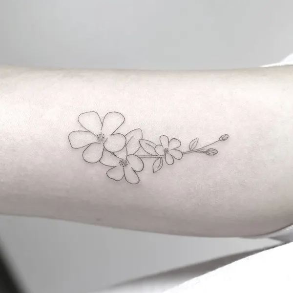 Flower, Mini, 데이지