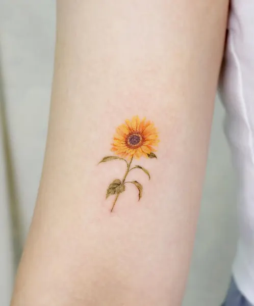 Flower, 해바라기