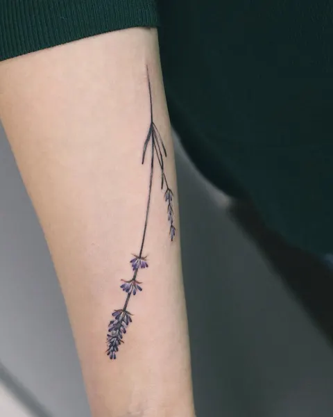 Flower, 라벤더