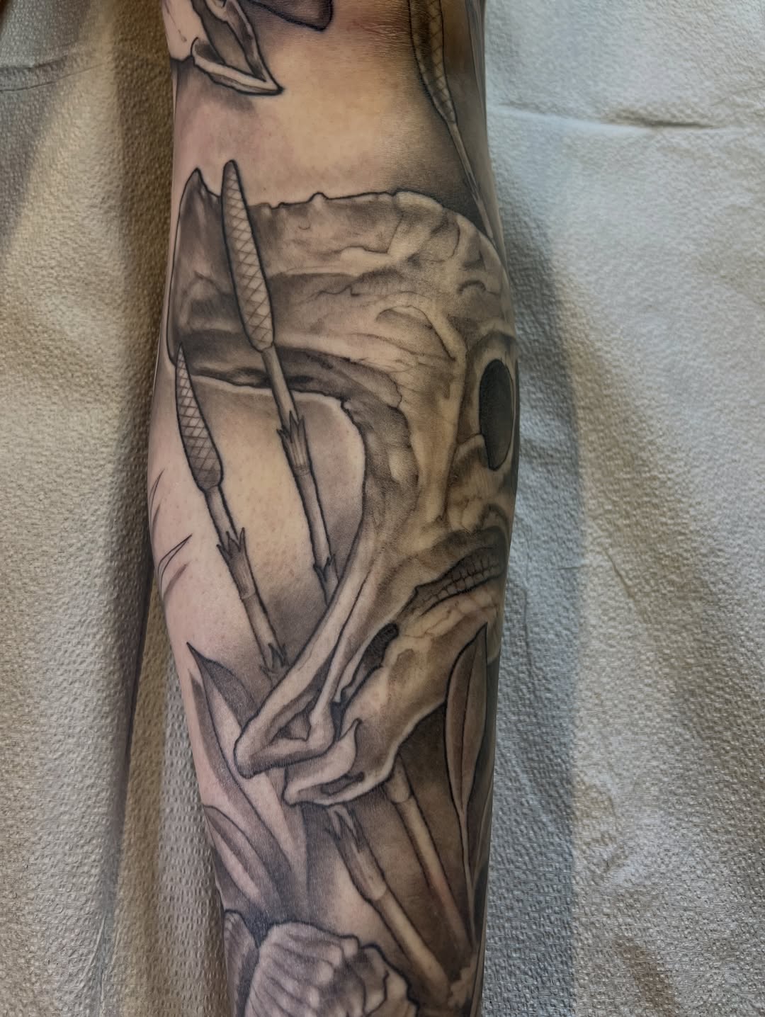 shawn_hebrank
