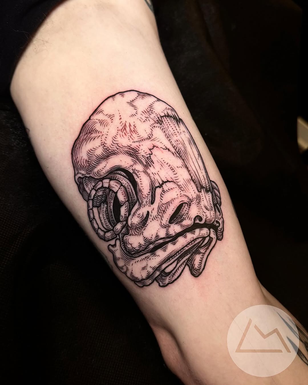Skull