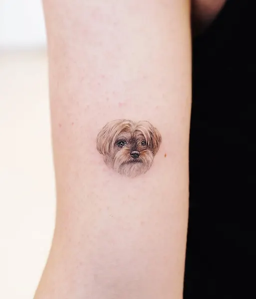 paw.tattoo