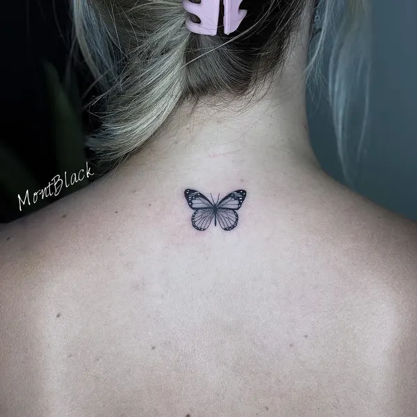 Animal, Nature, 나비