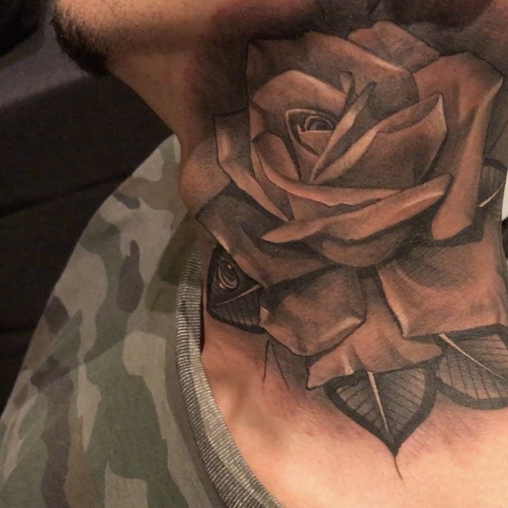 Rose, Nature, Flower