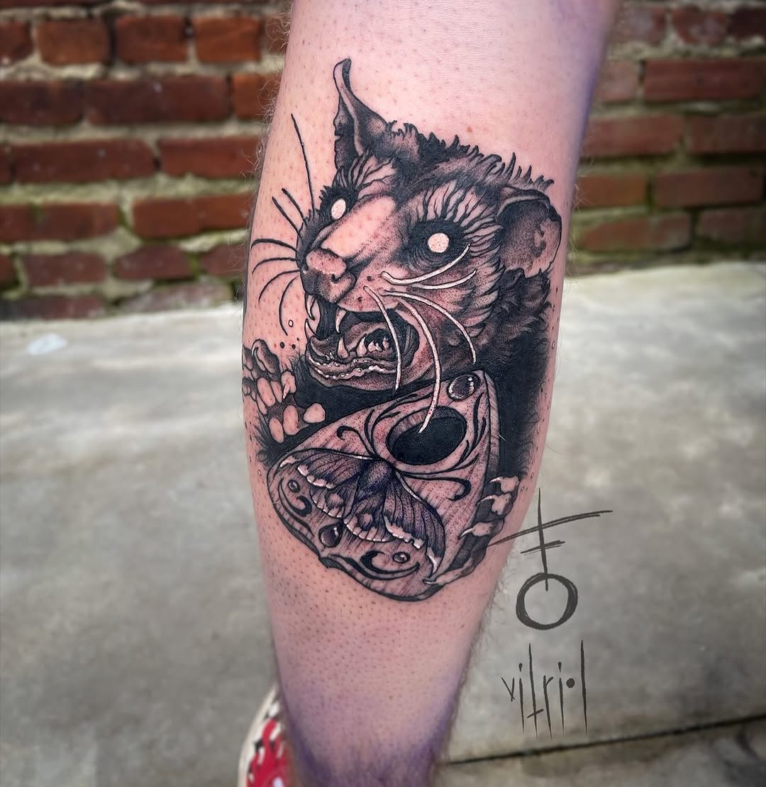 Tiger, Animal