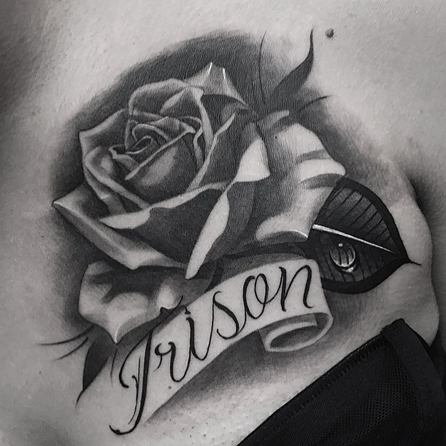 Flower, Rose, Nature