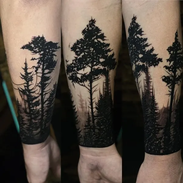 Nature, 숲, 소나무