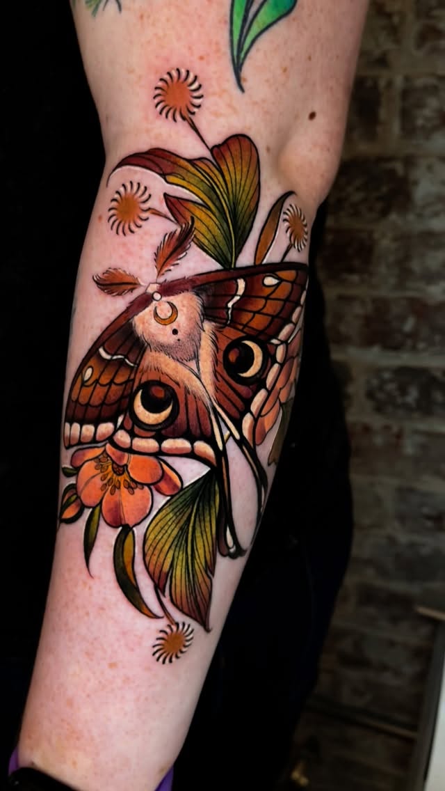 Animal, Nature