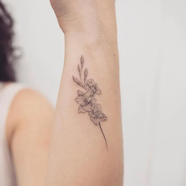 Flower, 허브, 야생화, 요정, 이레즈미, 카네이션