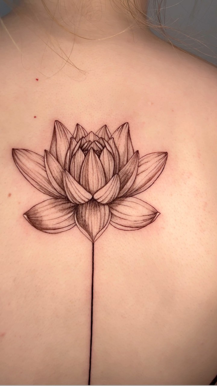 Flower, 연꽃, 연꽃 문양, 한국 연꽃, 연꽃 만다라