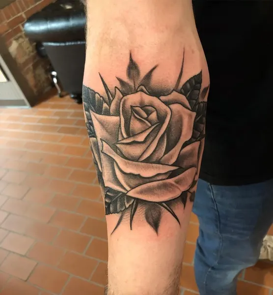 Flower, Rose