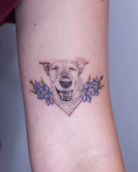 곰, 코알라, 판다