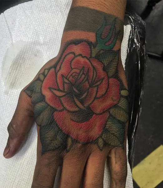 Flower, Rose