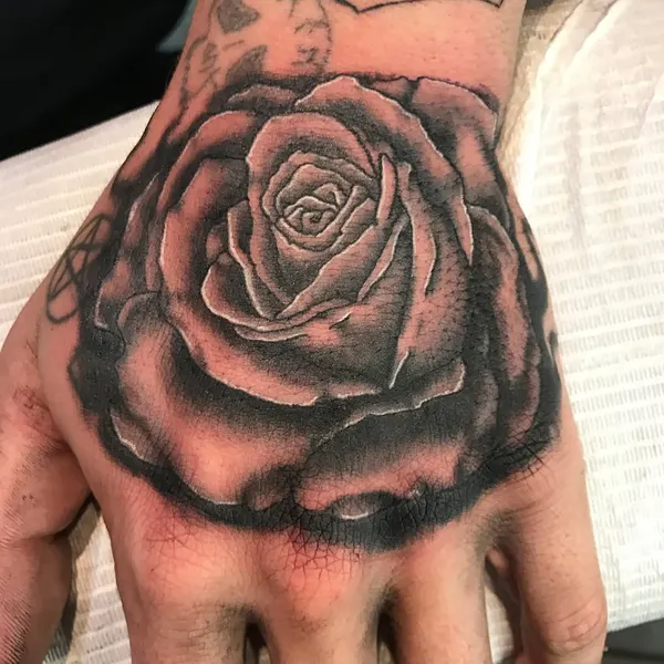 Flower, Rose