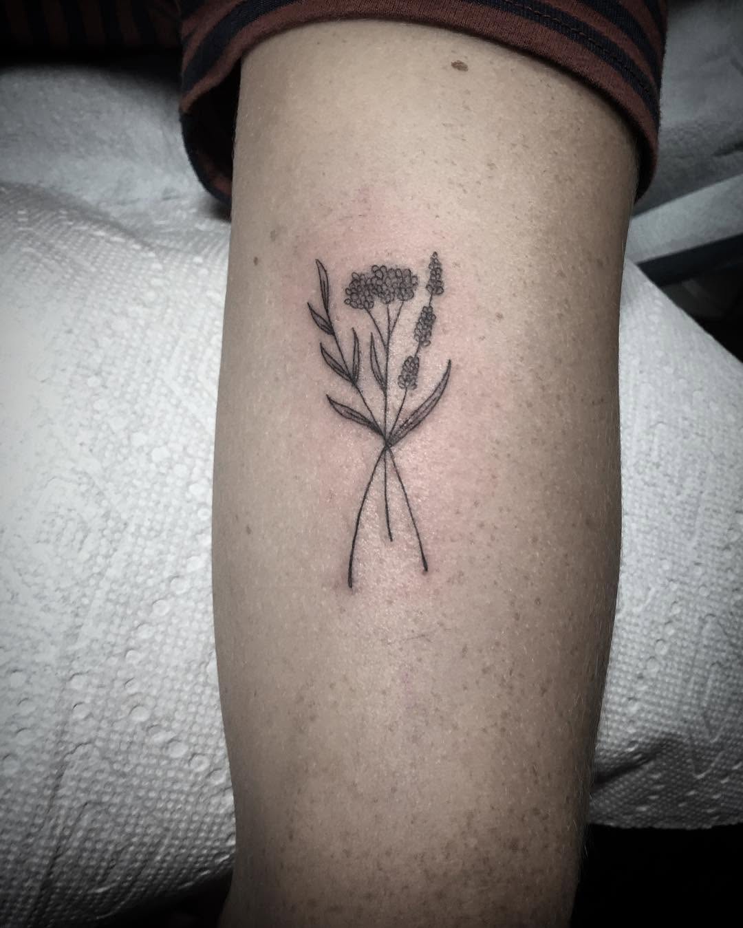 Flower, 뿌리, 풀, 허브, 민들레, 고사리
