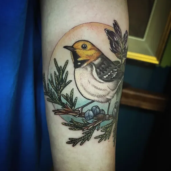 공작, 새, Animal