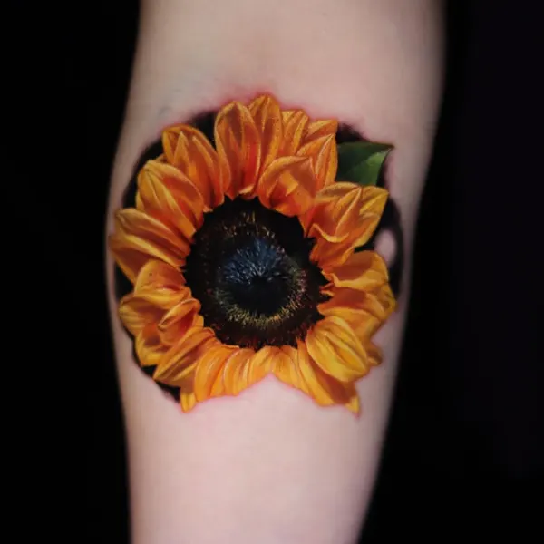 Flower, 해바라기