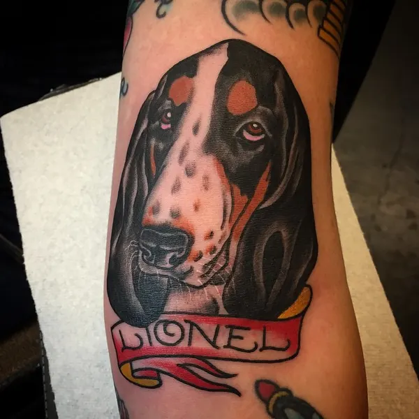 Animal