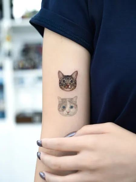 텐구, 함사, 고양이, 마네키네코, 여우 가면, 반려동물