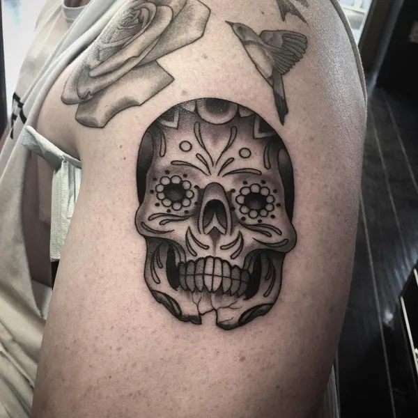 Skull