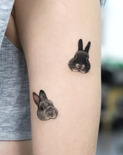 Animal, 토끼