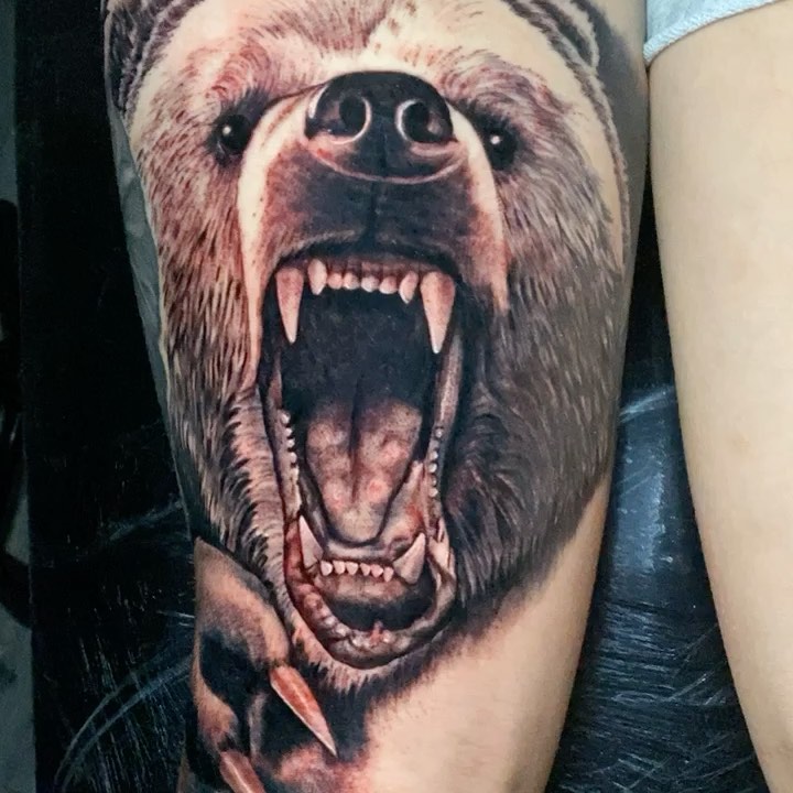 곰, Animal, 고릴라